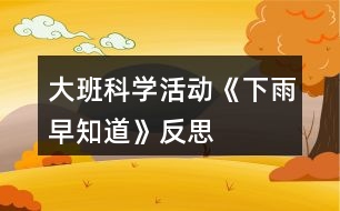 大班科學(xué)活動(dòng)《下雨早知道》反思