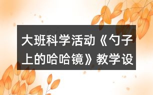 大班科學(xué)活動《勺子上的哈哈鏡》教學(xué)設(shè)計反思
