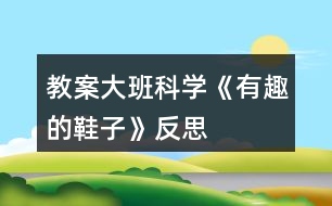 教案大班科學《有趣的鞋子》反思