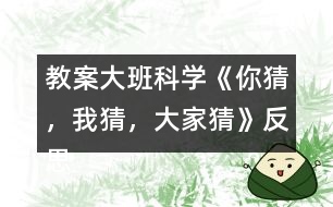 教案大班科學(xué)《你猜，我猜，大家猜》反思