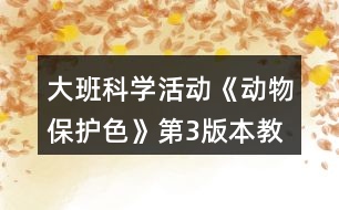 大班科學活動《動物保護色》第3版本教案反思