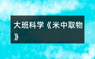 大班科學《米中取物》