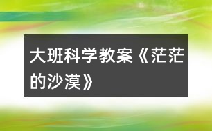 大班科學教案《茫茫的沙漠》