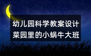 幼兒園科學(xué)教案設(shè)計菜園里的小蝸牛（大班）