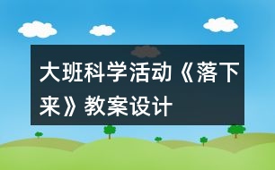 大班科學活動《落下來》教案設(shè)計