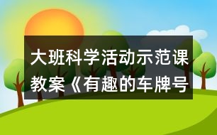 大班科學(xué)活動(dòng)示范課教案《有趣的車(chē)牌號(hào)》