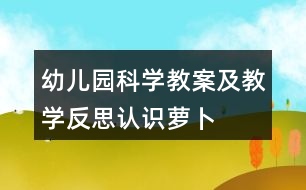 幼兒園科學(xué)教案及教學(xué)反思認(rèn)識(shí)蘿卜
