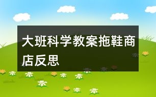 大班科學(xué)教案拖鞋商店反思