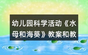幼兒園科學(xué)活動(dòng)《水母和?？方贪负徒虒W(xué)反思