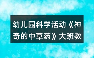 幼兒園科學(xué)活動《神奇的中草藥》大班教案反思