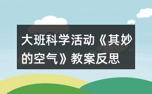 大班科學(xué)活動(dòng)《其妙的空氣》教案反思