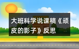 大班科學(xué)說(shuō)課稿《頑皮的影子》反思