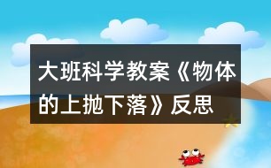 大班科學教案《物體的上拋下落》反思