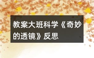 教案大班科學《奇妙的透鏡》反思
