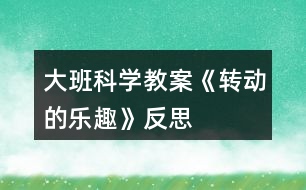 大班科學(xué)教案《轉(zhuǎn)動的樂趣》反思