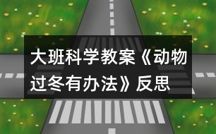 大班科學(xué)教案《動(dòng)物過(guò)冬有辦法》反思