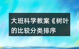 大班科學教案《樹葉的比較、分類、排序》反思