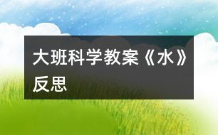 大班科學教案《水》反思