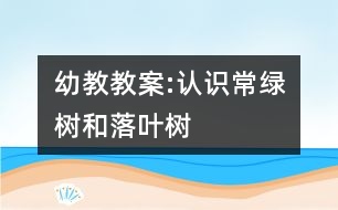 幼教教案:認(rèn)識常綠樹和落葉樹