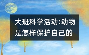 大班科學(xué)活動:動物是怎樣保護(hù)自己的