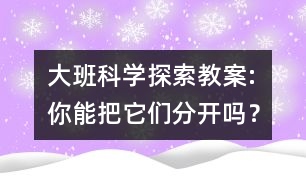 大班科學(xué)探索教案:你能把它們分開嗎？