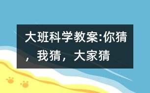 大班科學(xué)教案:你猜，我猜，大家猜