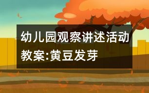 幼兒園觀察講述活動教案:黃豆發(fā)芽