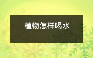 植物怎樣喝水
