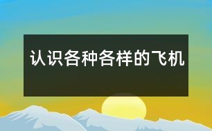 認識各種各樣的飛機