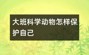 大班科學：動物怎樣保護自己