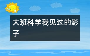 大班科學(xué)：我見過(guò)的影子