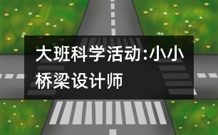 大班科學(xué)活動:小小橋梁設(shè)計師