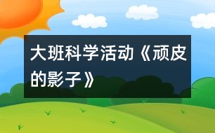 大班科學(xué)活動：《頑皮的影子》