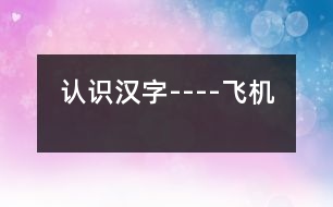認(rèn)識漢字----飛機(jī)