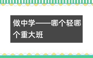 做中學(xué)――哪個(gè)輕、哪個(gè)重（大班）