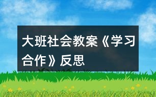 大班社會教案《學習合作》反思