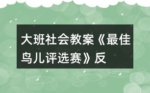 大班社會(huì)教案《“最佳鳥兒”評(píng)選賽》反思