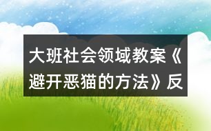 大班社會(huì)領(lǐng)域教案《避開惡貓的方法》反思