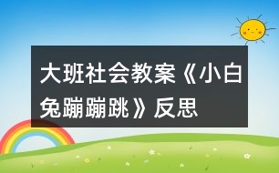 大班社會教案《小白兔蹦蹦跳》反思