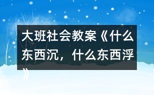 大班社會(huì)教案《什么東西沉，什么東西浮》反思