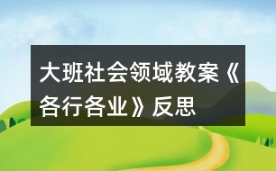 大班社會領(lǐng)域教案《各行各業(yè)》反思