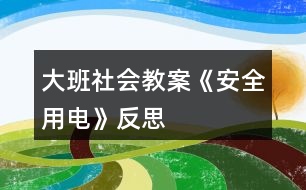 大班社會(huì)教案《安全用電》反思