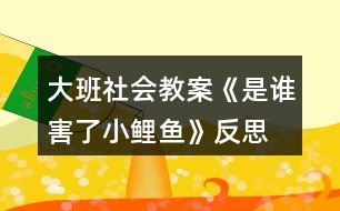 大班社會(huì)教案《是誰害了小鯉魚》反思