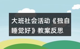 大班社會(huì)活動(dòng)《獨(dú)自睡覺好》教案反思