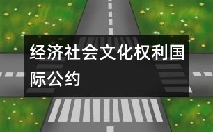 經(jīng)濟(jì)、社會(huì)、文化權(quán)利國(guó)際公約