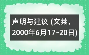 聲明與建議 (文萊，2000年6月17-20日)