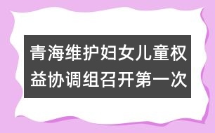 青海維護婦女兒童權益協(xié)調組召開第一次會議