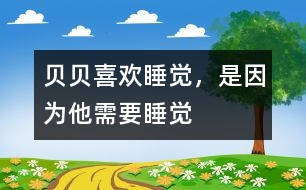 貝貝喜歡睡覺，是因為他需要睡覺