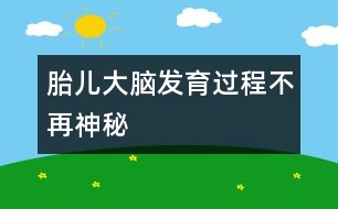 胎兒大腦發(fā)育過(guò)程不再神秘