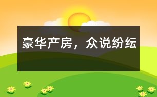 豪華產(chǎn)房，眾說紛紜